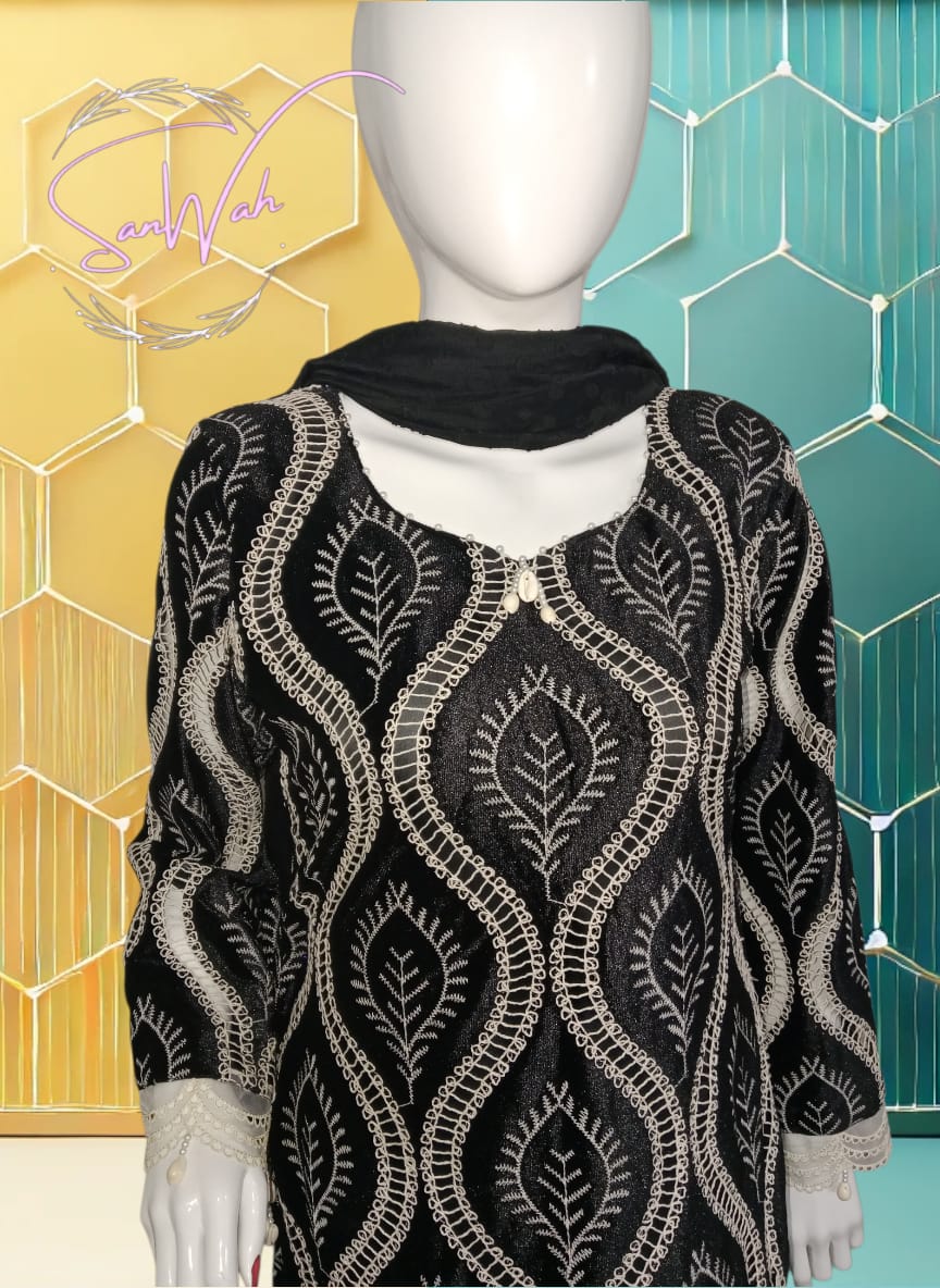 Turkish Velvet Cutwork Outfit